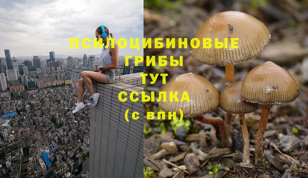прущая мука Абдулино